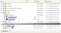 exfileview