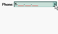 Exontrol ExMaskEdit Component Download